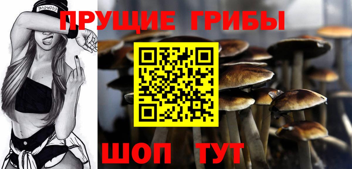 Галлюциногенные грибы Psilocybe  Галлюциногенные грибы GOLDEN TEACHER  Королёв  Вход с VPN 